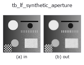 tb_lf_synthetic_aperture: input → output