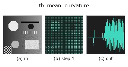 tb_mean_curvature: stages
