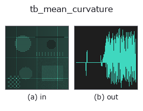 tb_mean_curvature: input → output