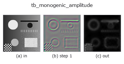 tb_monogenic_amplitude: stages