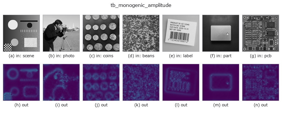 tb_monogenic_amplitude: other inputs