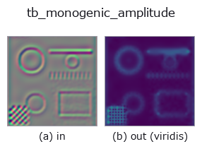 tb_monogenic_amplitude: input → output