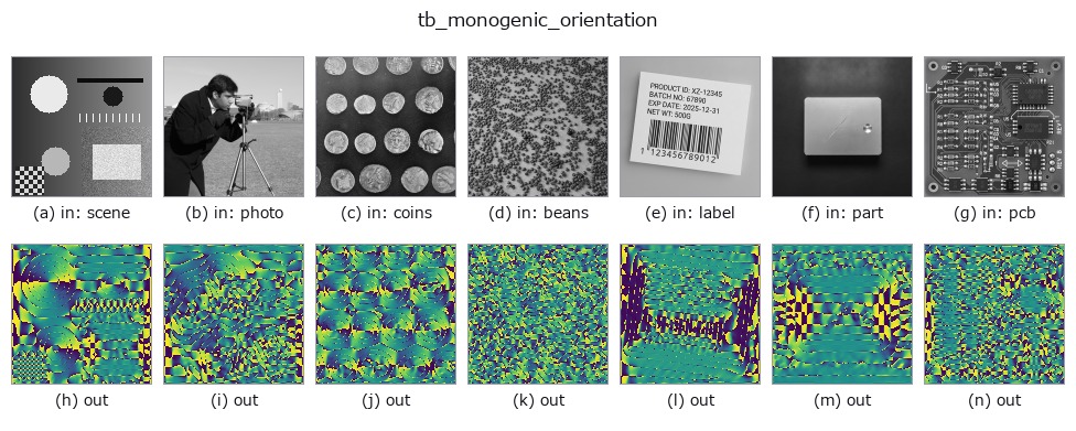 tb_monogenic_orientation: other inputs