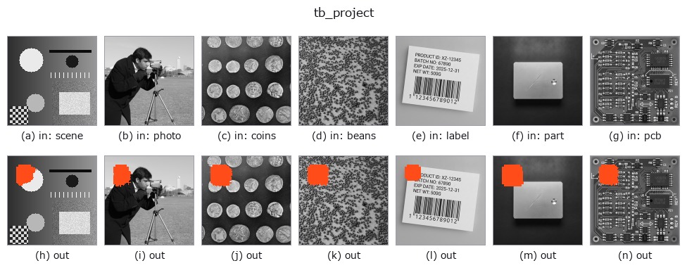 tb_project: other inputs