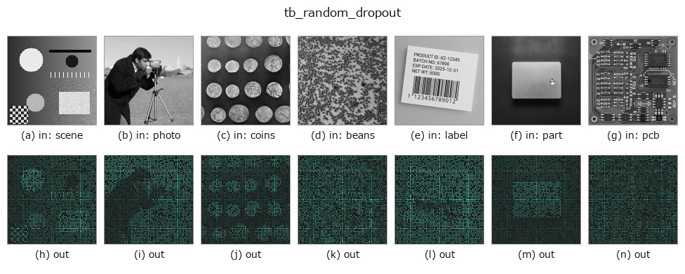 tb_random_dropout: other inputs
