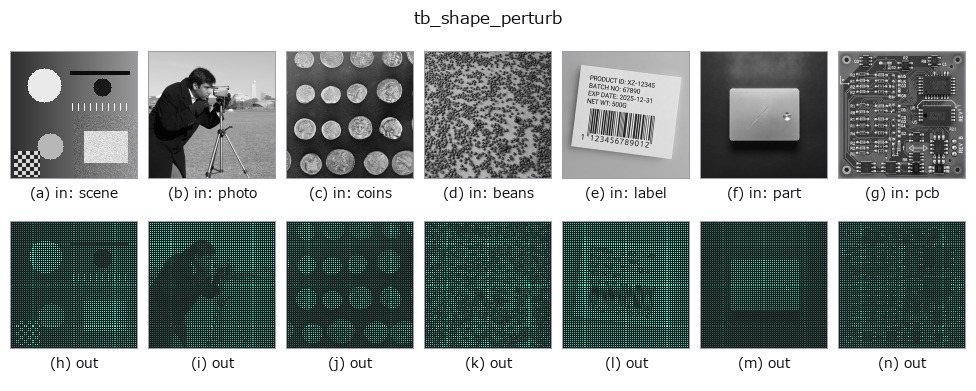 tb_shape_perturb: other inputs