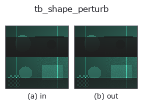 tb_shape_perturb: input → output