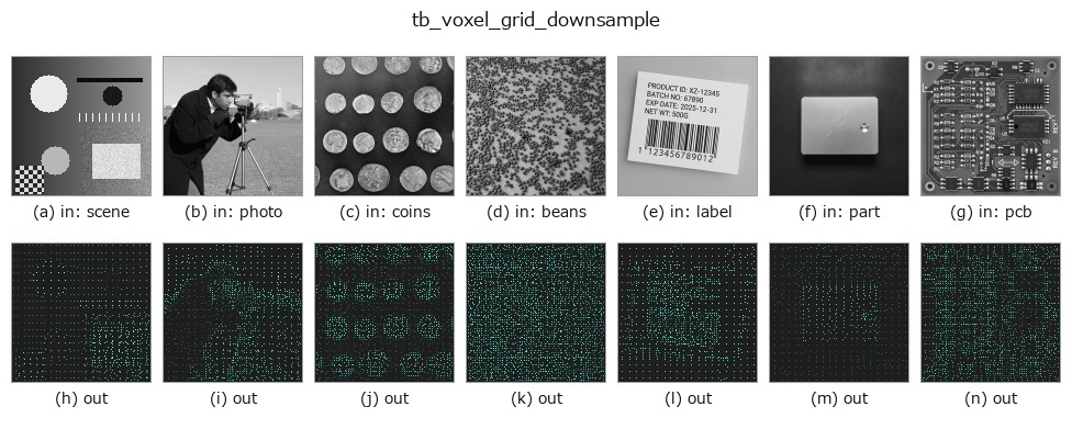tb_voxel_grid_downsample: other inputs