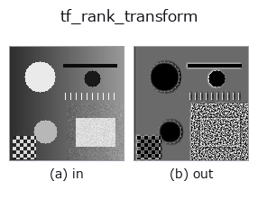 tf_rank_transform: input → output