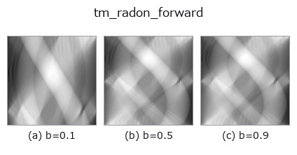 tm_radon_forward: knob b sweep