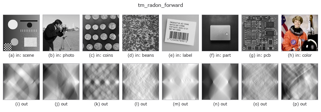 tm_radon_forward: other inputs