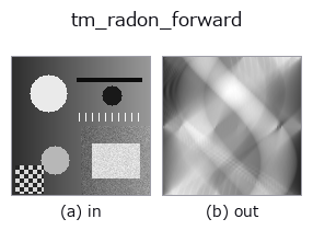 tm_radon_forward: input → output