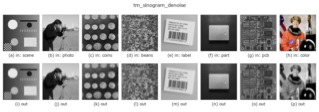 tm_sinogram_denoise: other inputs