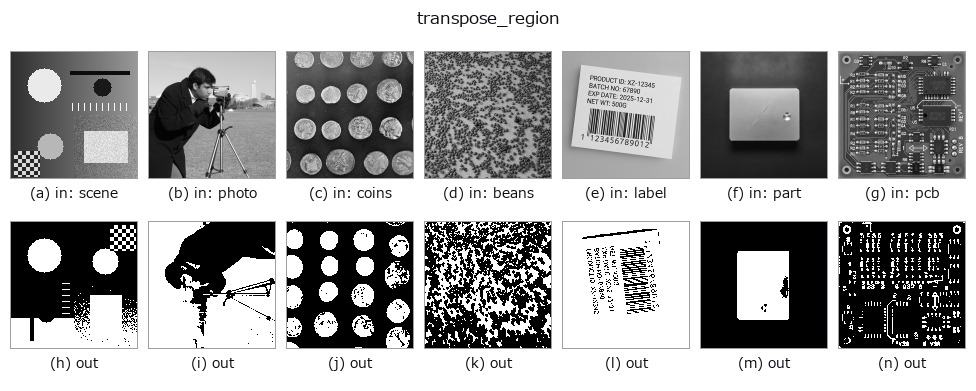 transpose_region: other inputs