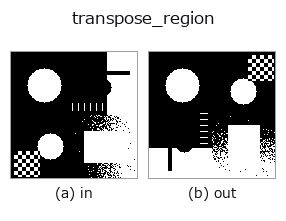 transpose_region: input → output