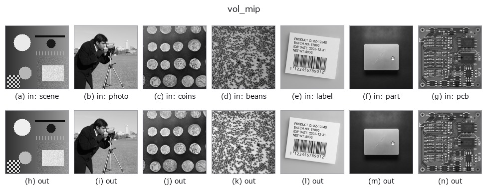 vol_mip: other inputs