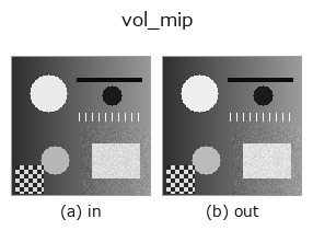 vol_mip: input → output