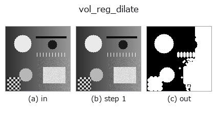 vol_reg_dilate: stages