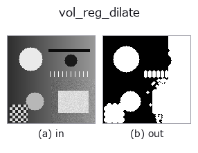 vol_reg_dilate: input → output