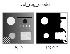 vol_reg_erode: input → output