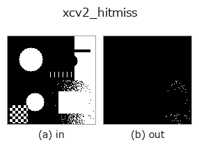 xcv2_hitmiss: input → output