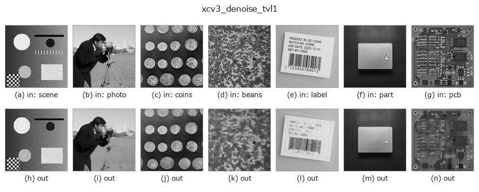 xcv3_denoise_tvl1: other inputs