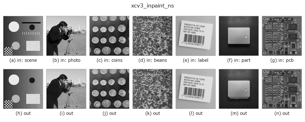 xcv3_inpaint_ns: other inputs