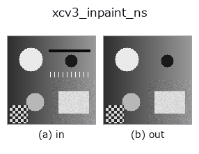 xcv3_inpaint_ns: input → output