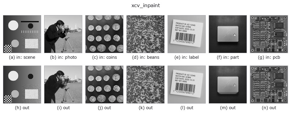 xcv_inpaint: other inputs