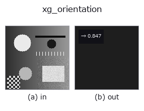 xg_orientation: input → output