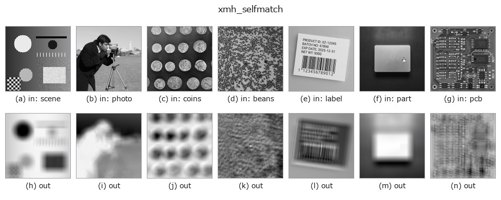 xmh_selfmatch: other inputs
