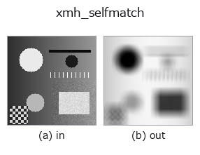 xmh_selfmatch: input → output