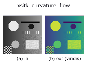 xsitk_curvature_flow: input → output