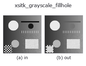 xsitk_grayscale_fillhole: input → output