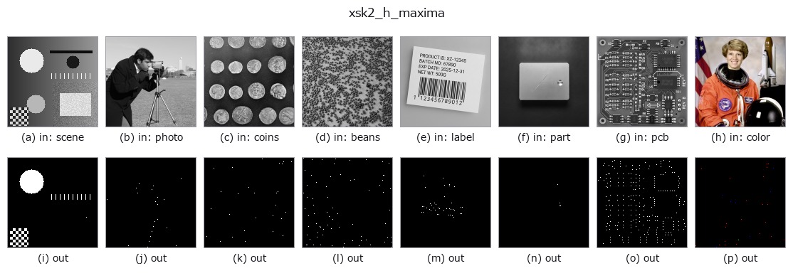 xsk2_h_maxima: other inputs