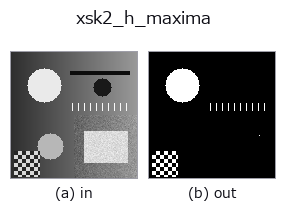 xsk2_h_maxima: input → output