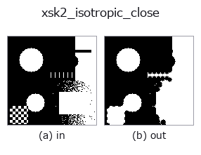 xsk2_isotropic_close: input → output