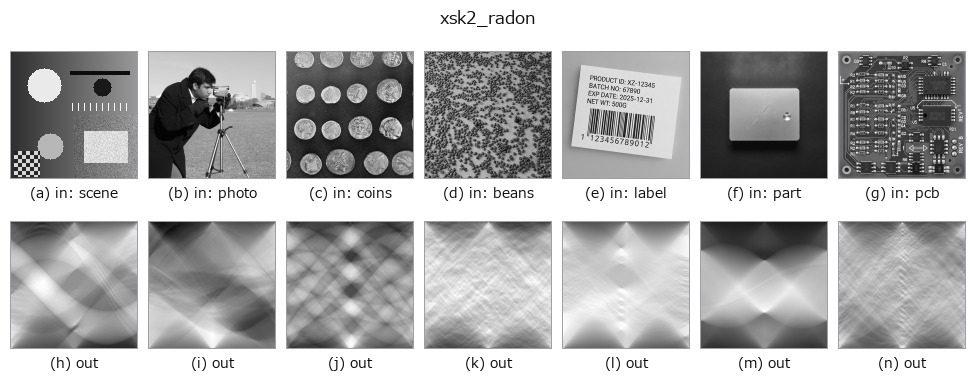 xsk2_radon: other inputs