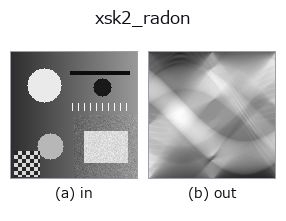xsk2_radon: input → output