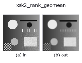 xsk2_rank_geomean: input → output