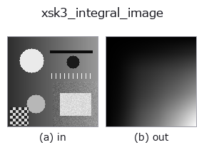xsk3_integral_image: input → output