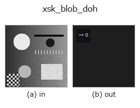 xsk_blob_doh: input → output