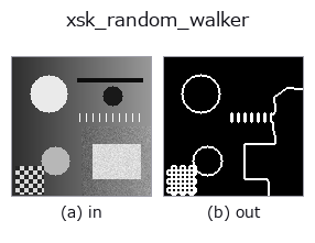 xsk_random_walker: input → output