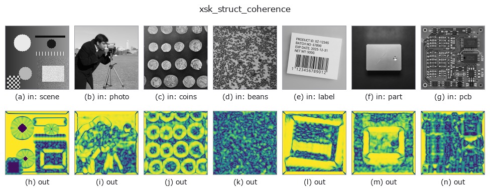 xsk_struct_coherence: other inputs