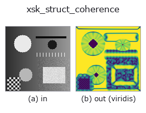xsk_struct_coherence: input → output