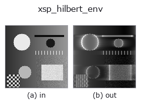 xsp_hilbert_env: input → output